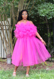 Pink 2 piece tulle
